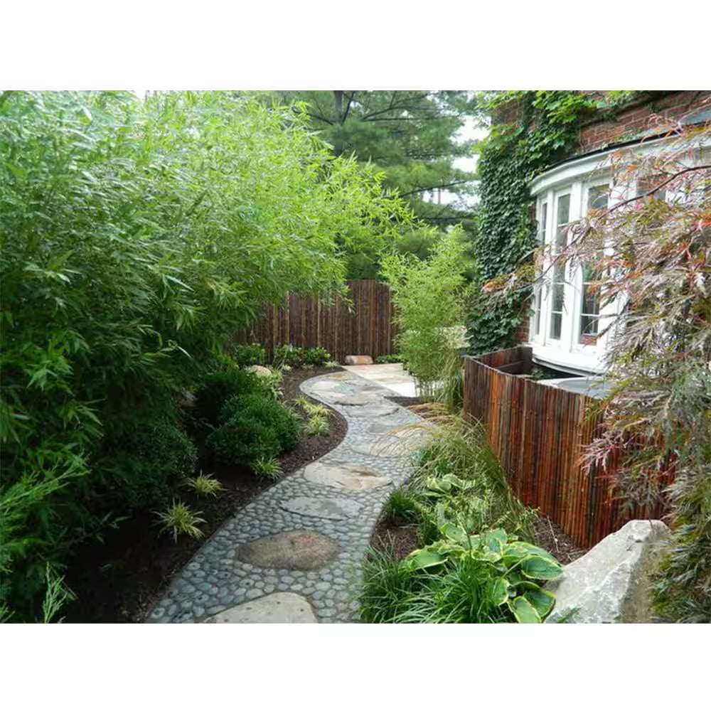 1.5 Ft. X 50 Ft. 0.060 Polyethylene Water Bamboo Barrier