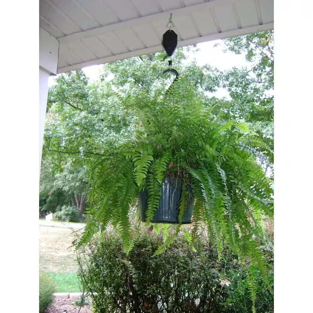 Pulley System for Hanging Plants and Bird Feeders (3-Pack)