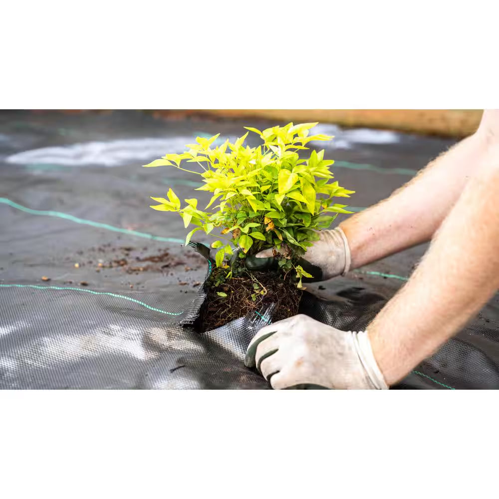 6 Ft. X 100 Ft. Woven Polypropylene Ground Cover Landscape Fabric