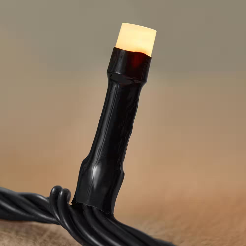 100-Light 40 Ft. Indoor/Outdoor Plug-In Integrated LED RGB Color Changing Novelty String Light Powered by Hubspace