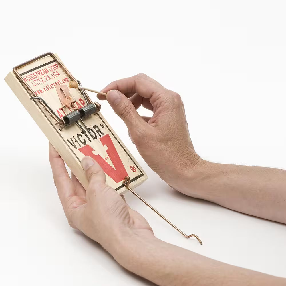 Metal Pedal Indoor and Outdoor Sustainably Sourced FSC Wood Snap Rat Trap (12-Count)