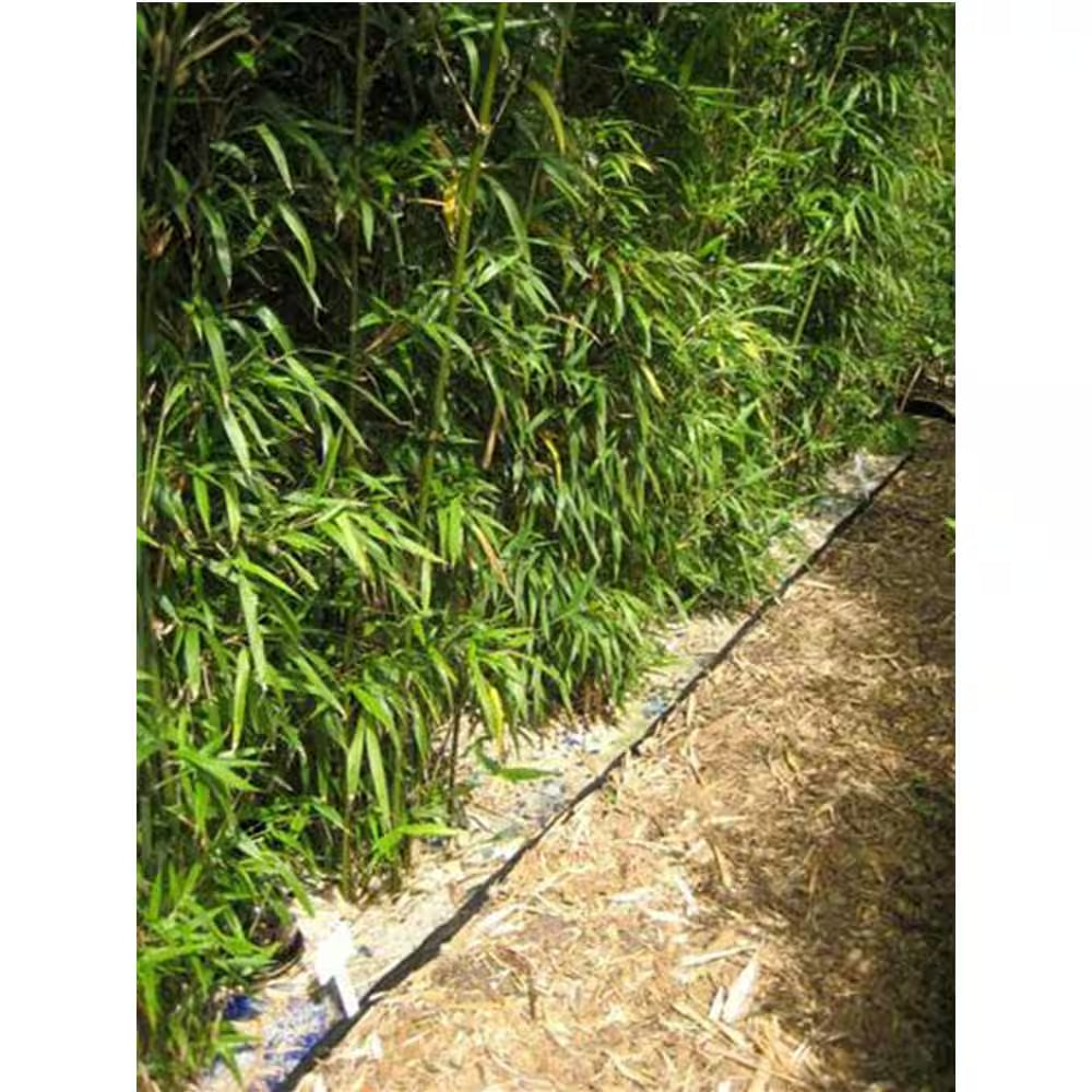 1.5 Ft. X 50 Ft. 0.060 Polyethylene Water Bamboo Barrier