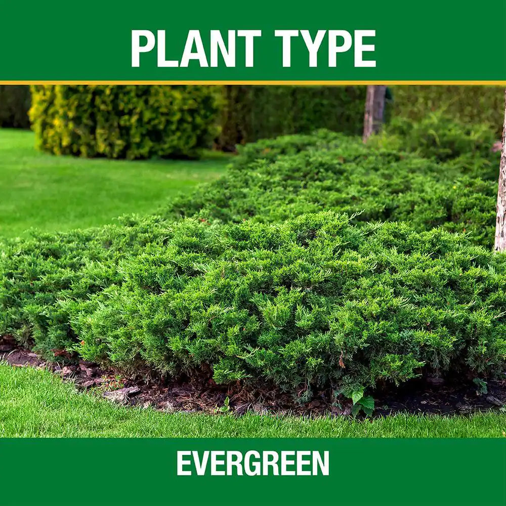 4.2 Lb. All Season Tree and Shrub Fertilizer Spikes (12-5-7) (15-Count)