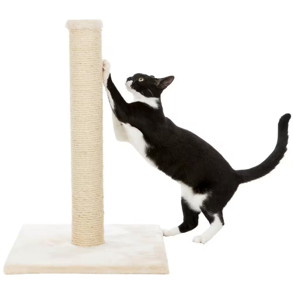 Parla Cat Scratching Post : for Indoor Cats : Plush Covered Base and Sisal Post : Beige : 24 Inches Tall