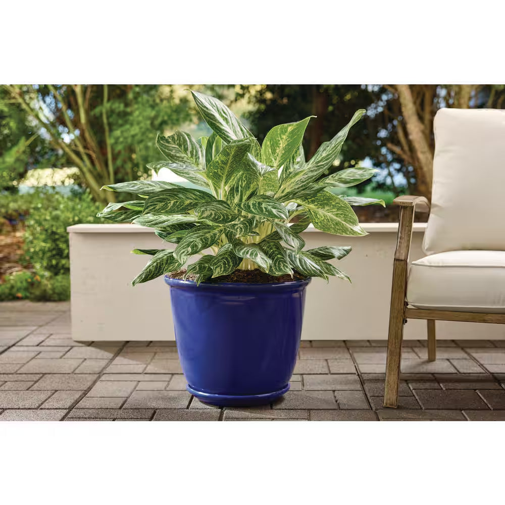 Delphine Large Blue Plastic Planter with Attached Saucer and Drainage Holes (18 In. L X 18 In. W X 15 In. H)