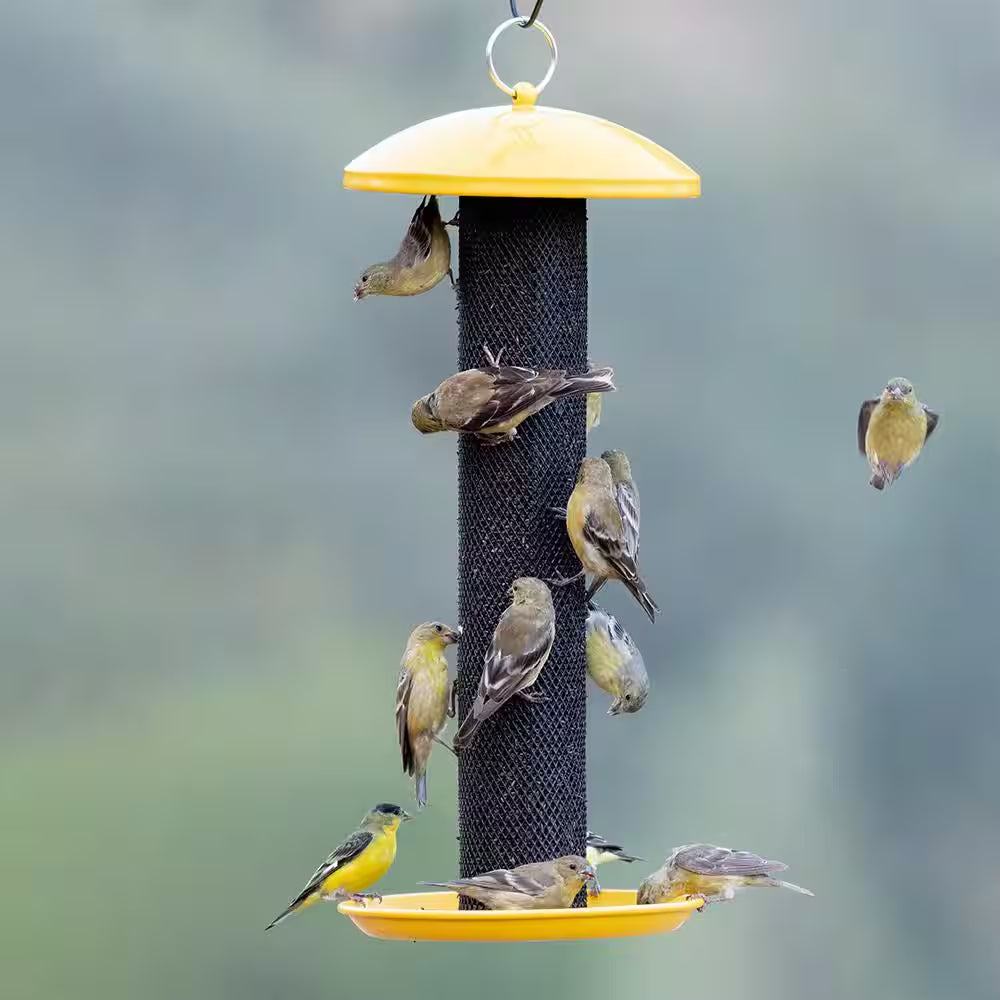 Straight Sided Yellow Metal Hanging Seed Feeder for Finch Bird-1.5 Lb. Capacity