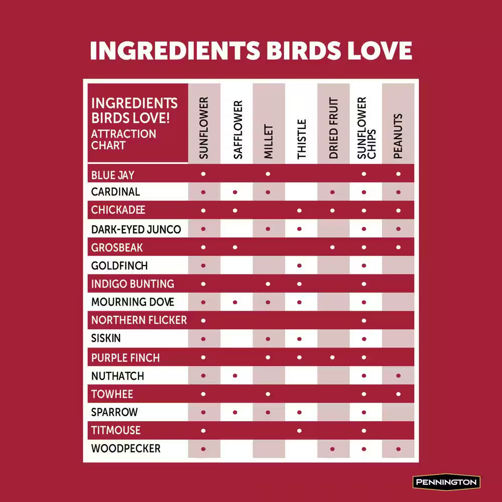 Premium 10 Lb. Black Oil Sunflower Bird Seed Food