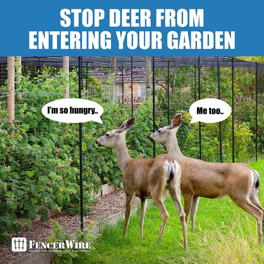 7 Ft. X 100 Ft. X 3/4 In. Black Plastic Bird Netting for Vegetable, Tree and Fruit