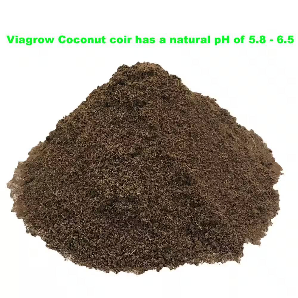 11 Lb. (5KG) Coconut Coir Block of Soilless Media