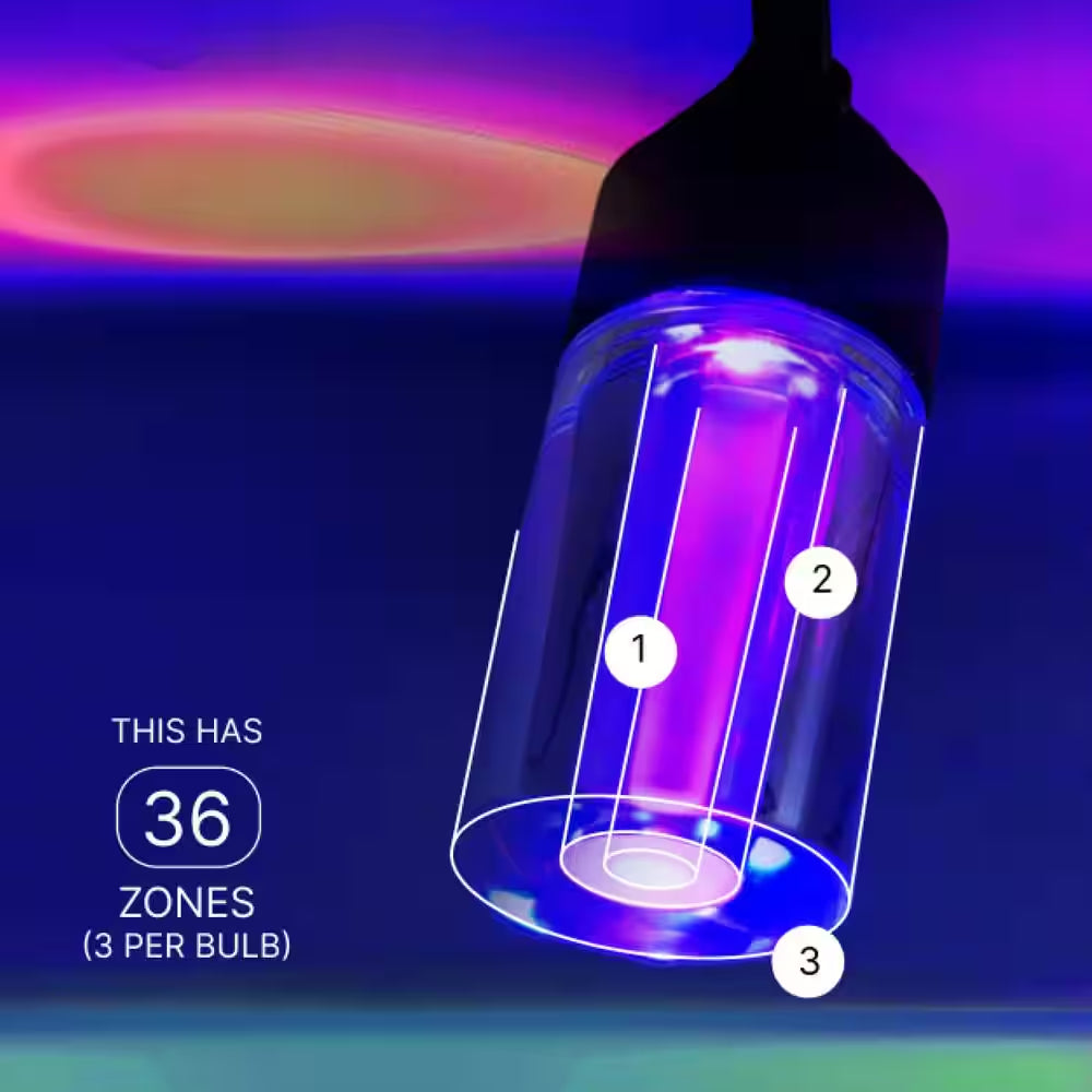 12-Light 24 Ft. Outdoor Plug-In RGB Integrated LED Smart Wi-Fi String Light, Works with Alexa/Hey Google/Homekit/Siri
