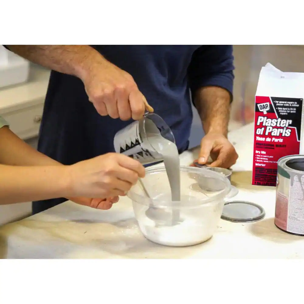 Plaster of Paris 4 Lbs. White Dry Mix