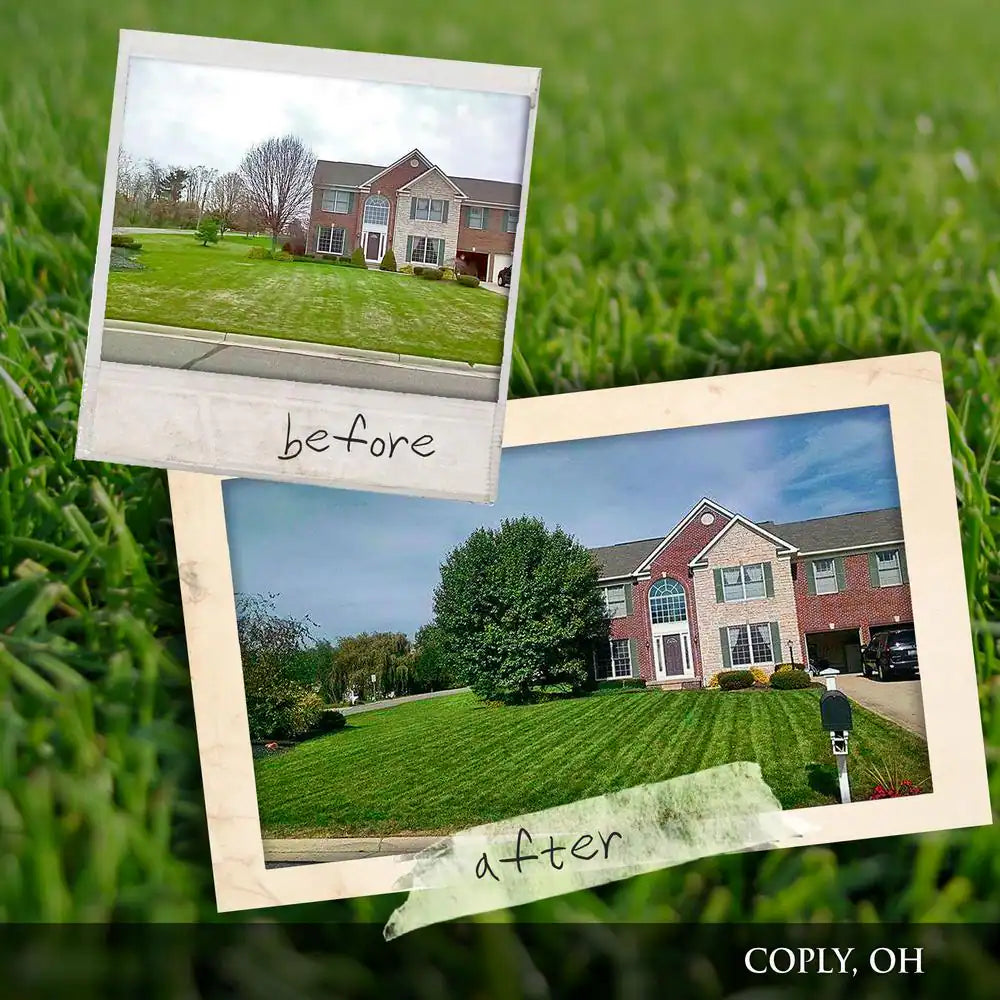 32 Lb. 2,500 Sq. Ft. Organic Slow-Release Nitrogen Lawn and Garden Dry Lawn Fertilizer 6-4-0