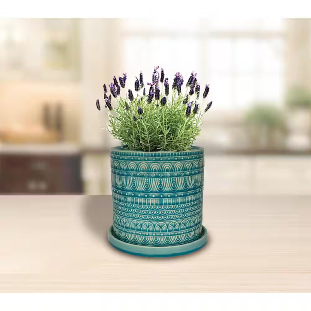 8 In. Dia Aqua Seven Seas Cylinder Ceramic Planter