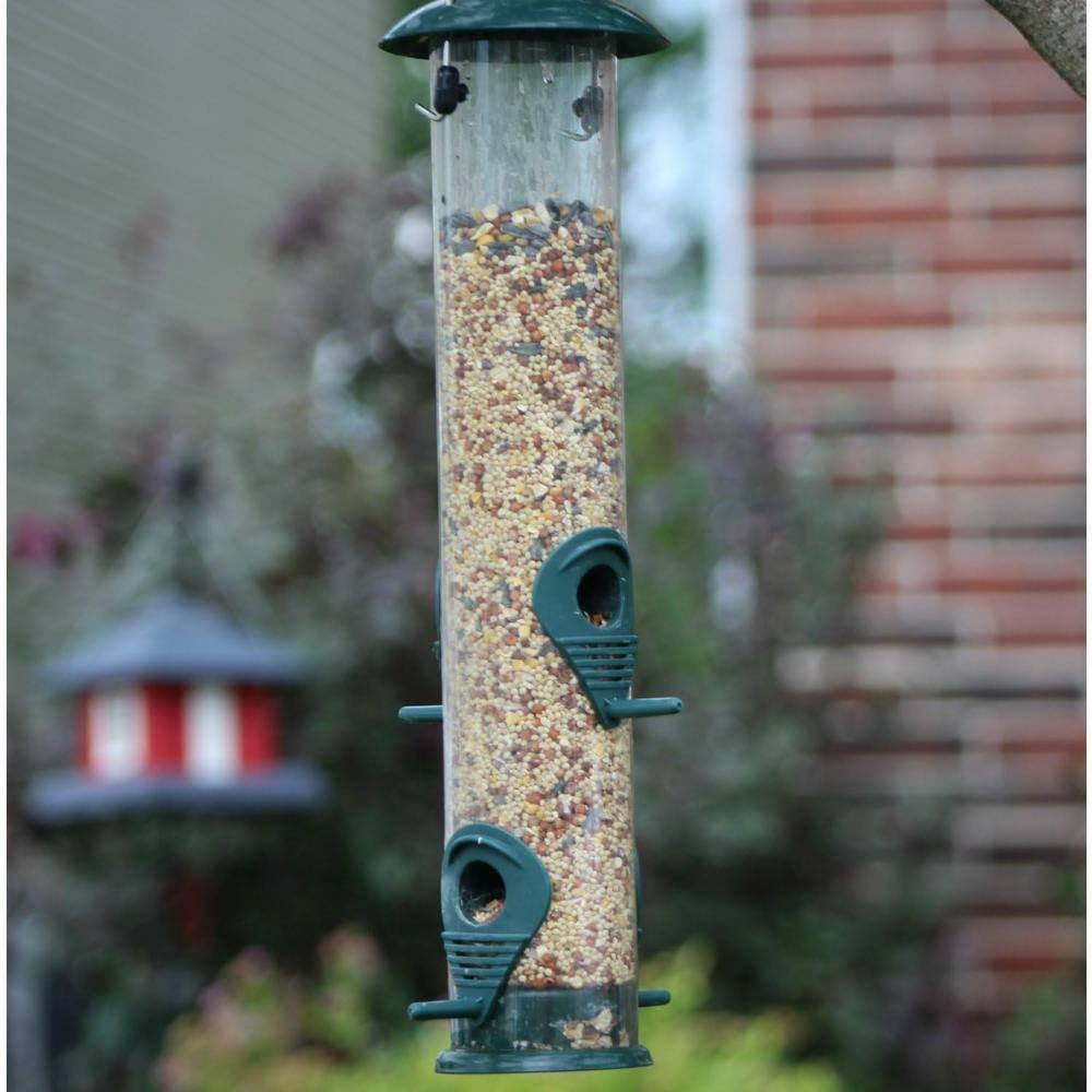 Bird Feeders (Green)