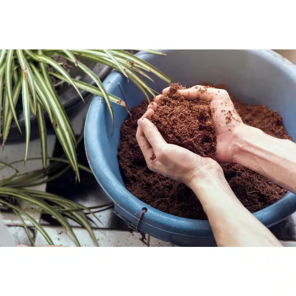11 Lbs. Coco Coir Potting Soil for Indoor Plants and Outdoor Plant the Coconut Coir Potting Mix Is Great for Microgreens