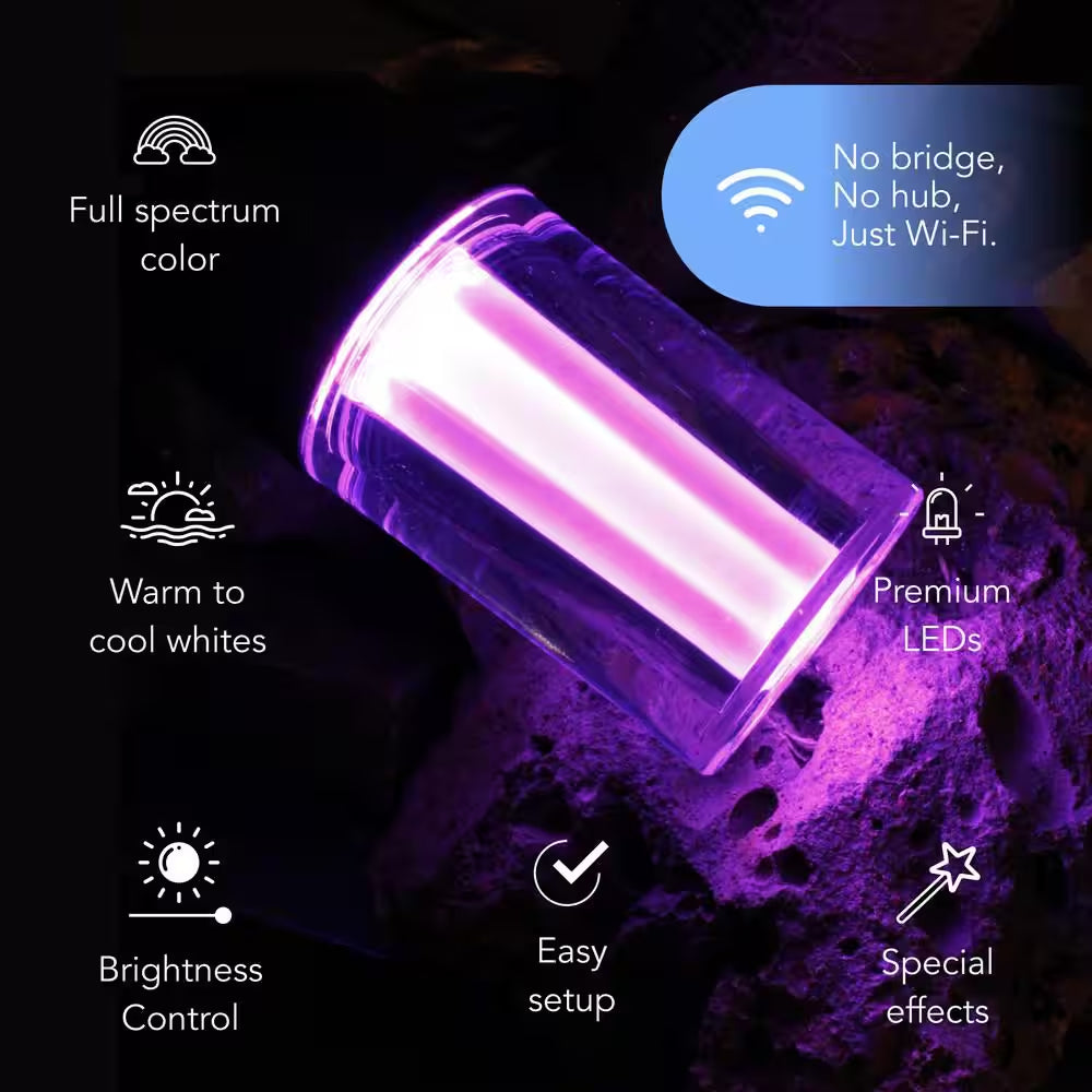 12-Light 24 Ft. Outdoor Plug-In RGB Integrated LED Smart Wi-Fi String Light, Works with Alexa/Hey Google/Homekit/Siri