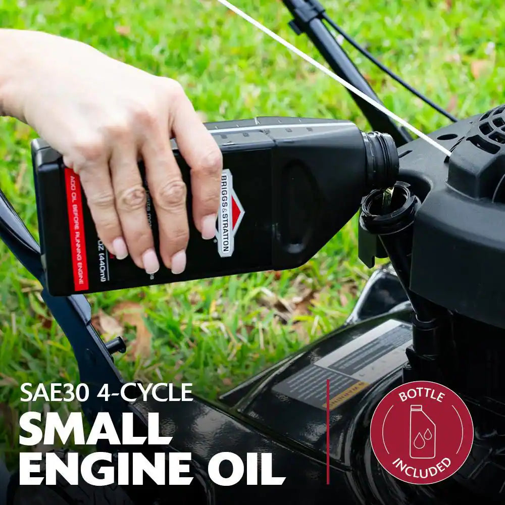 20 In. 125 Cc Briggs & Stratton Walk behind Gas Push Lawn Mower with 4 Wheel Height Adjustment and Prime 'N Pull Start