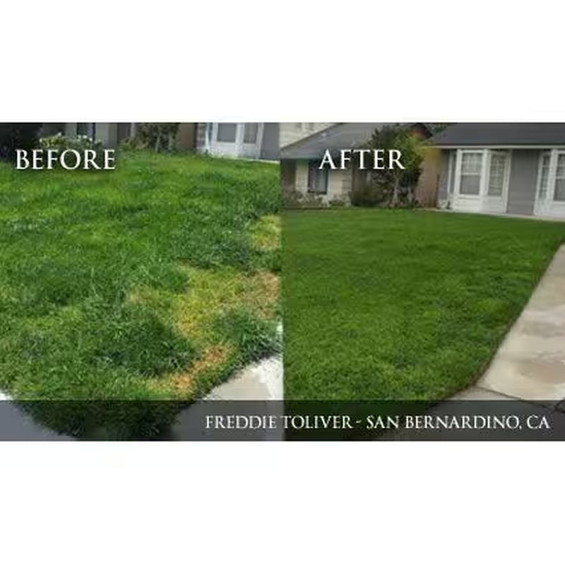32 Lb. 2,500 Sq. Ft. Organic Slow-Release Nitrogen Lawn and Garden Dry Lawn Fertilizer 6-4-0