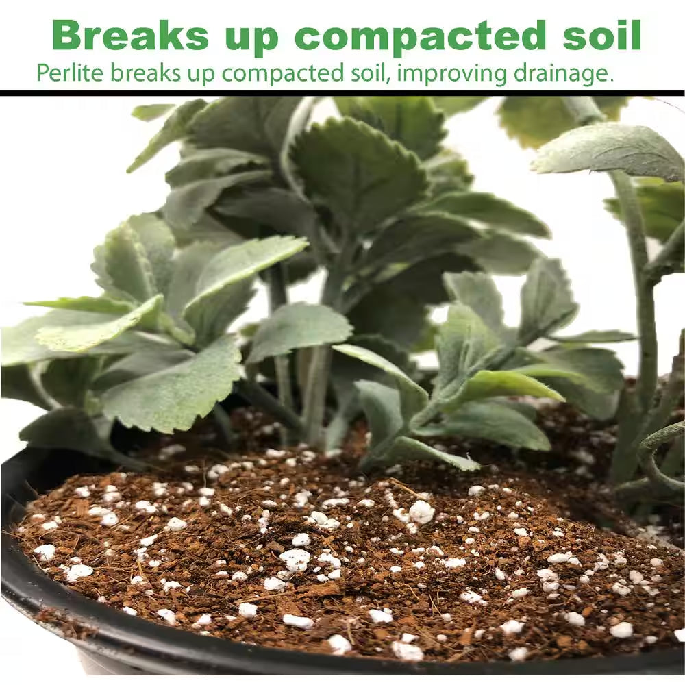 1 Cu. Ft./29.9 Qt. Organic White Perlite Planting Soil Additive and Growing Medium (2-Pack)