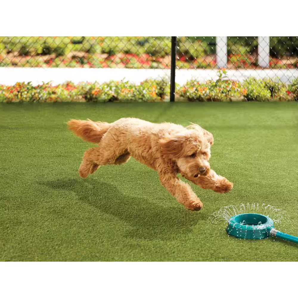 Premium Pet Turf 3.75 Ft. X 9 Ft. Green Artificial Grass Rug