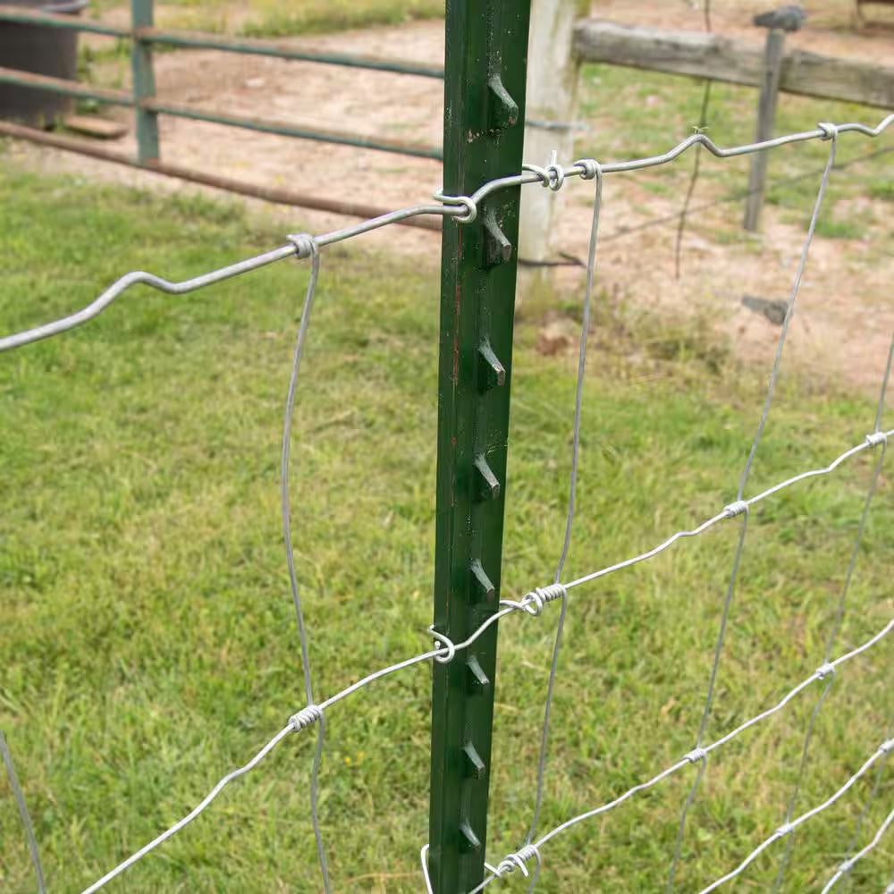 1-3/4 In. X 3-1/2 In. X 7 Ft. Green Steel Fence T-Post with Anchor Plate