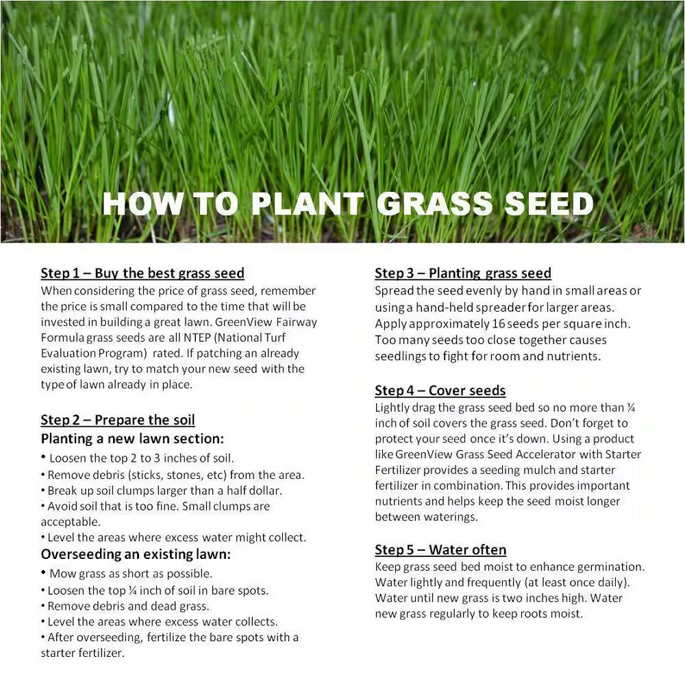 50 Lbs. Perennial Ryegrass Blend