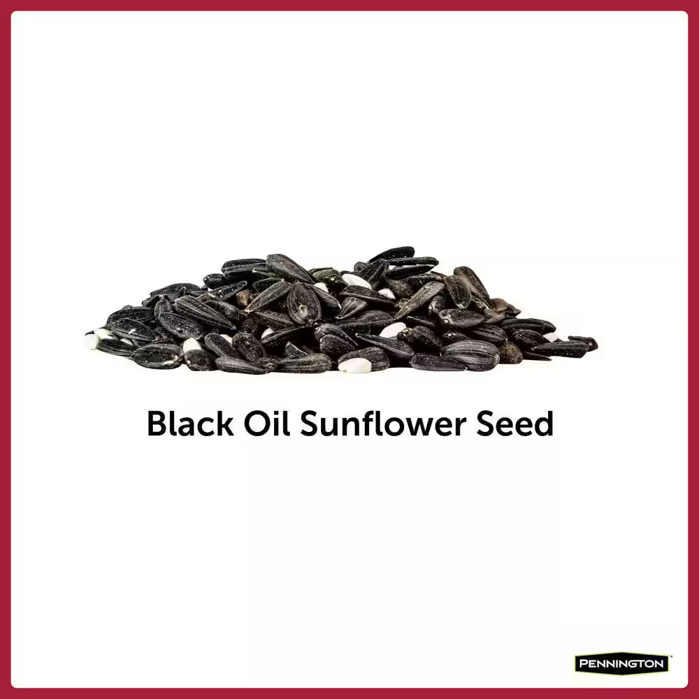 Premium 10 Lb. Black Oil Sunflower Bird Seed Food