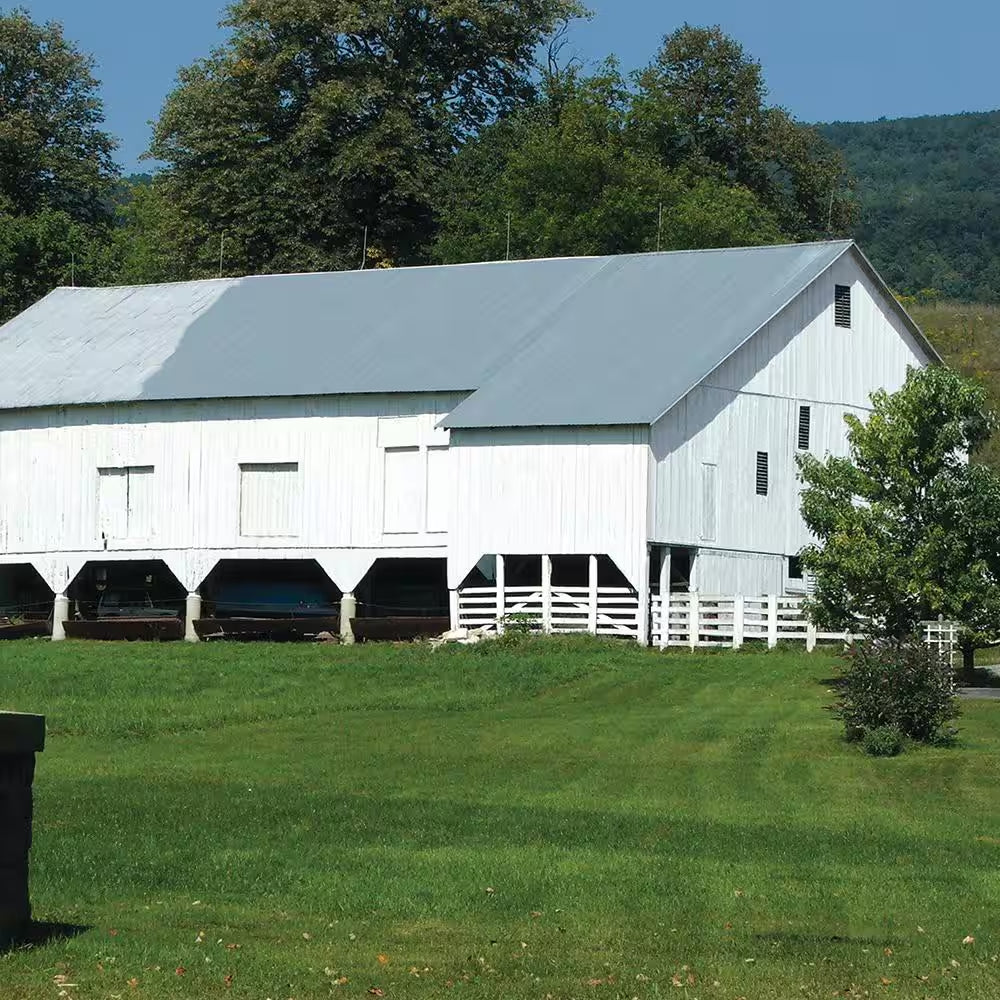 1 Gal. White Exterior Barn and Fence Paint