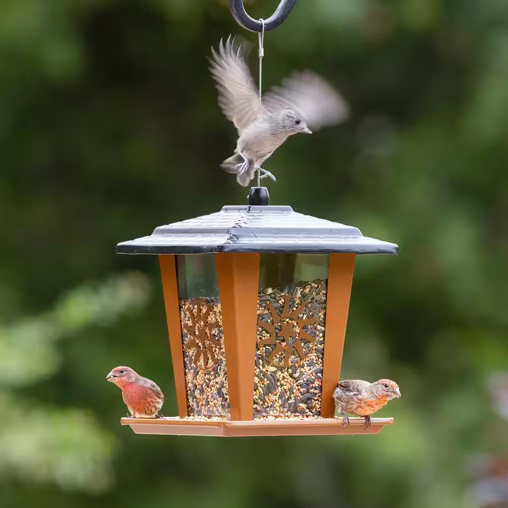 Sun and Star Lantern Rust-Resistant Durable Easy-To-Fill Hanging Bird Feeder - 3.5 Lb. Capacity
