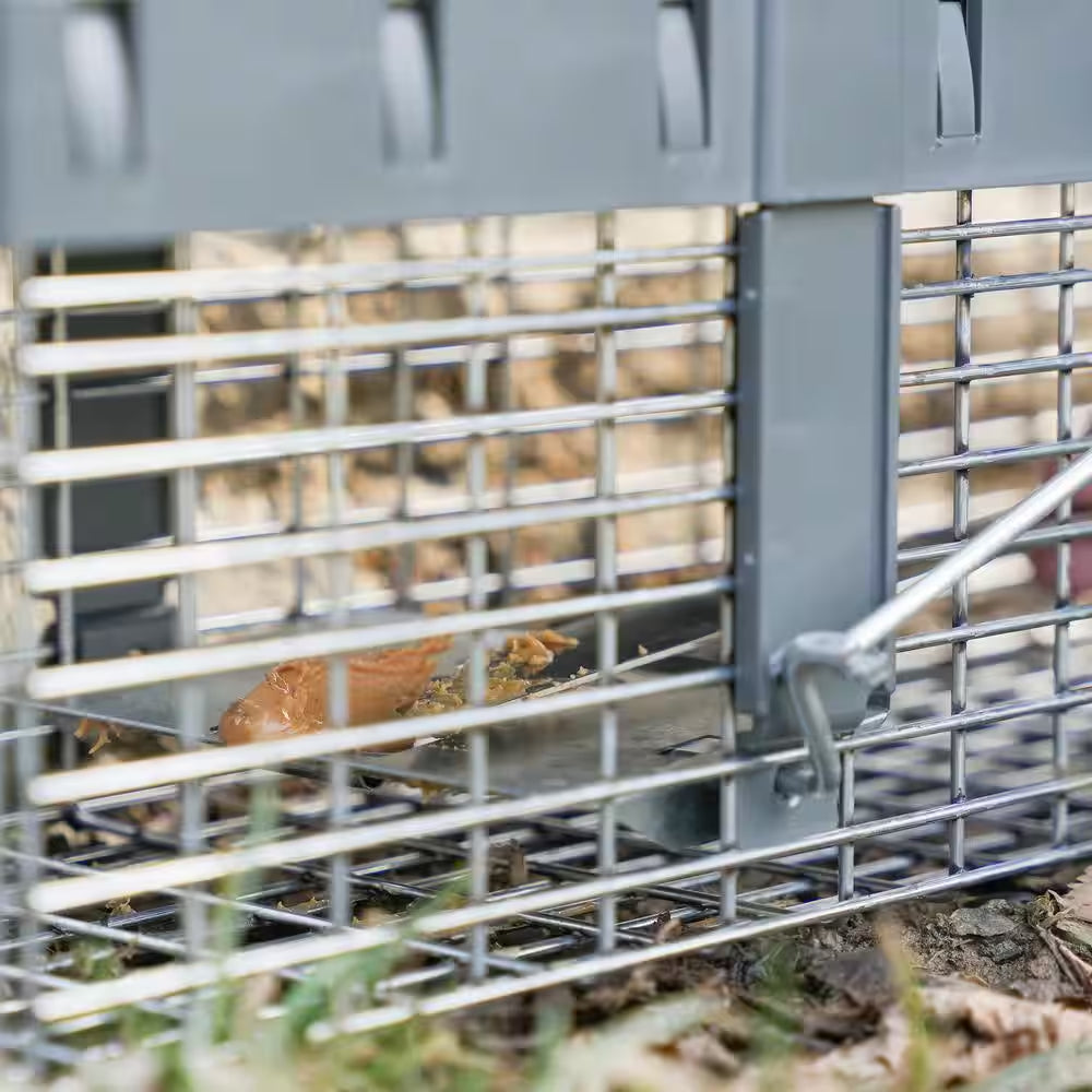 Small 1-Door Humane Catch-And-Release Live Animal Cage Trap for Squirrel, Weasel, Chipmunk