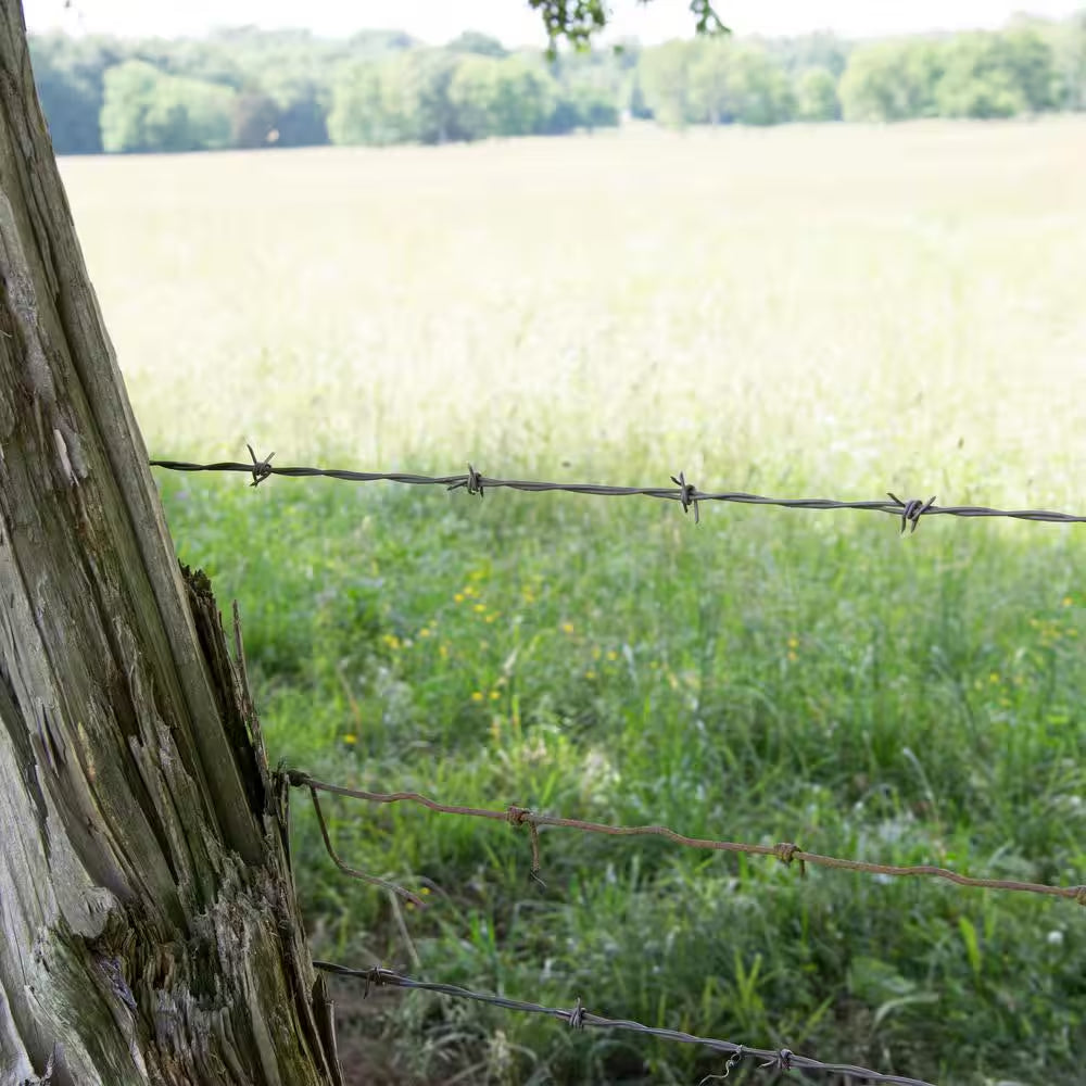 1,320 Ft. 15-1/2-Gauge 4-Point Class 3 High-Tensile Galvanized Steel Barbed Wire