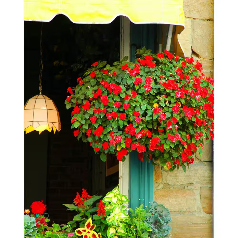 432 Cu. In. Sphagnum Moss