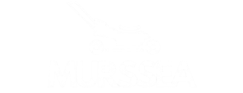 Murssea
